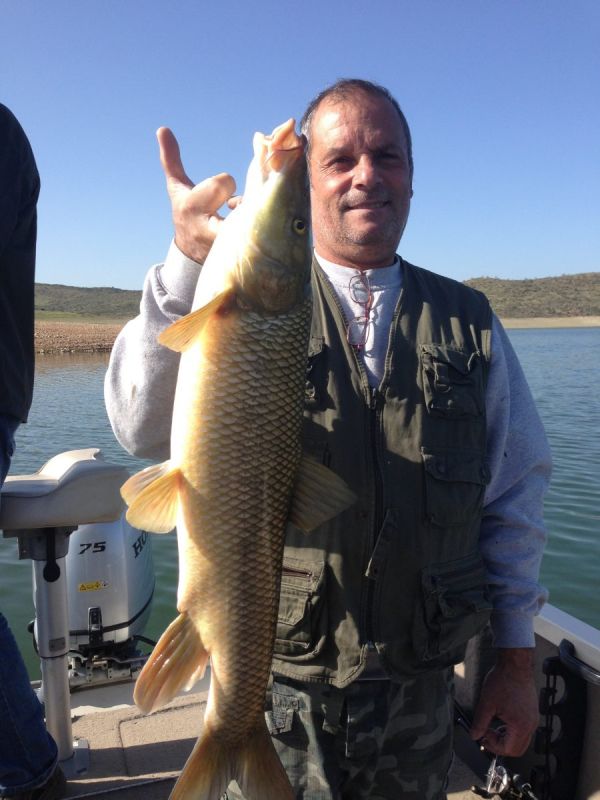 Barbeaux Peche En Extremadura 15