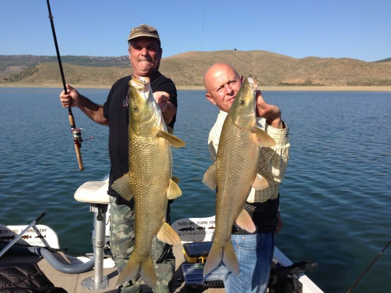 Barbeaux Peche En Extremadura 18