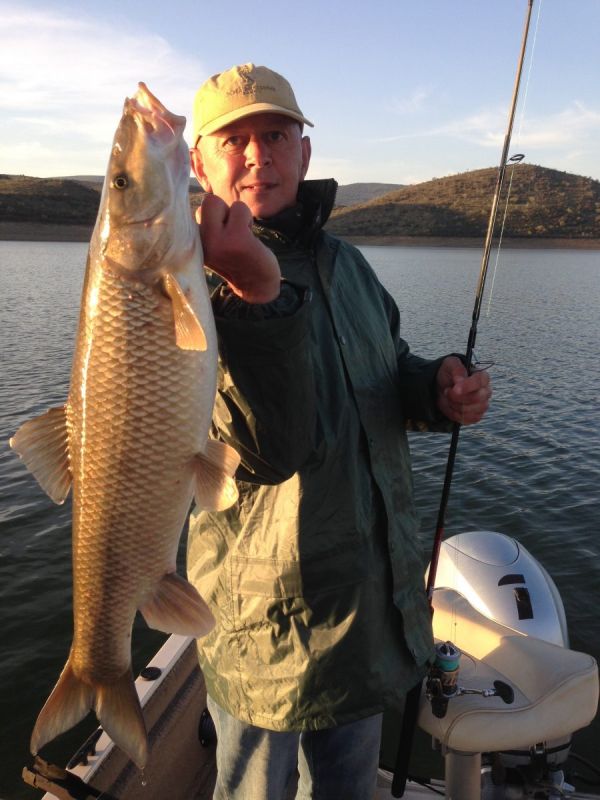 Barbeaux Peche En Extremadura 19