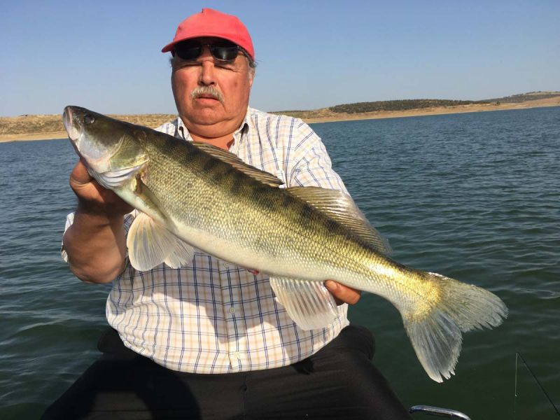 Pecheur De 120 Kg Avec Une Sandre