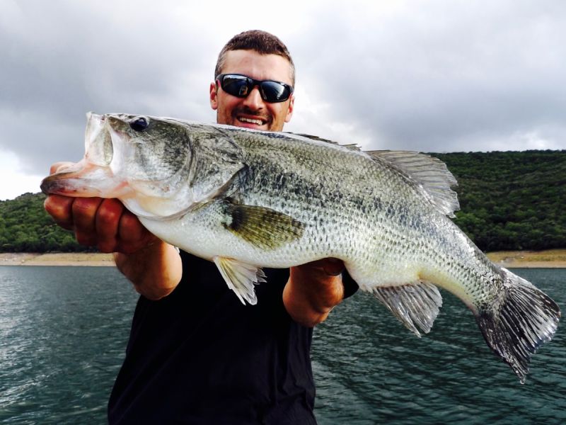 Bass Peche En Bateau Espagne