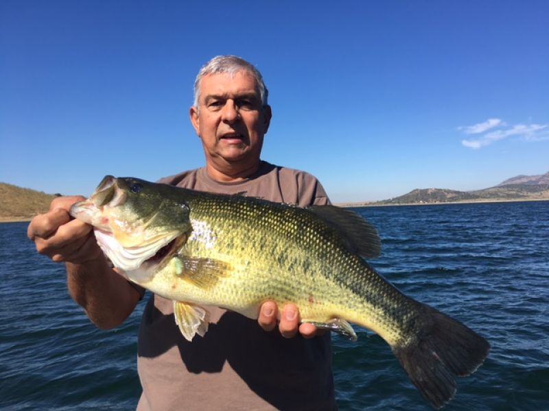 Bass Peche En Bateau Espagne