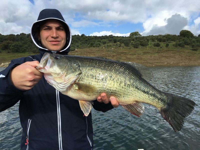 Bass Peche En Bateau Espagne