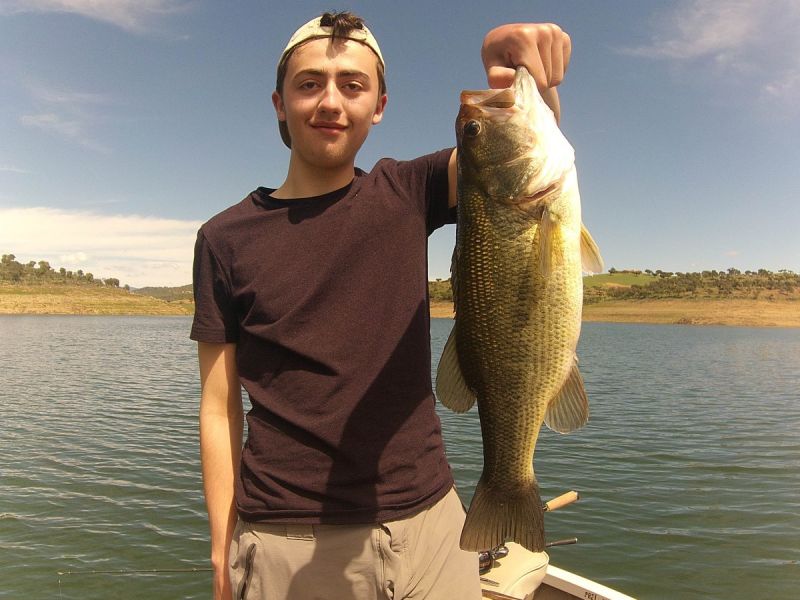Bass Peche En Bateau Espagne