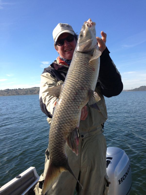 Barbeaux Peche En Extremadura 3