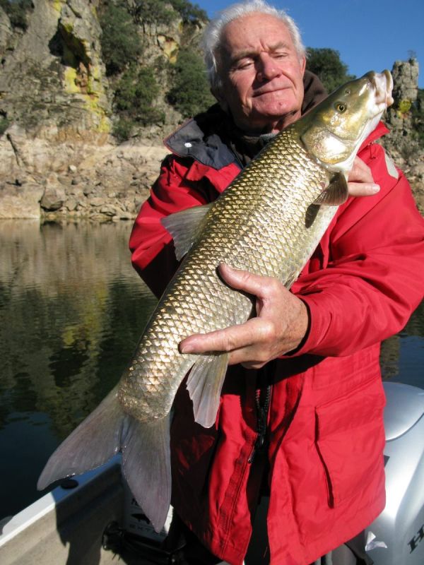 Barbeaux Peche En Extremadura 12