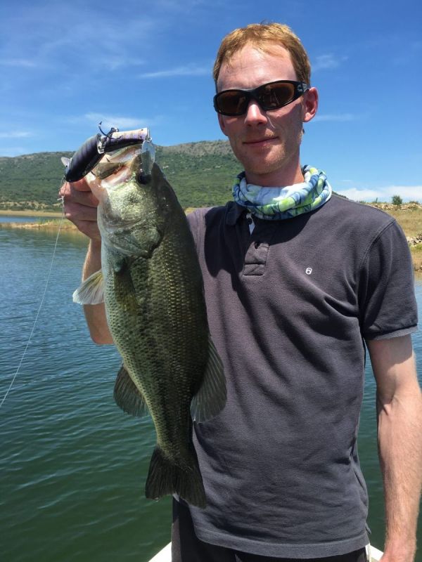 Bass Peche En Bateau Espagne