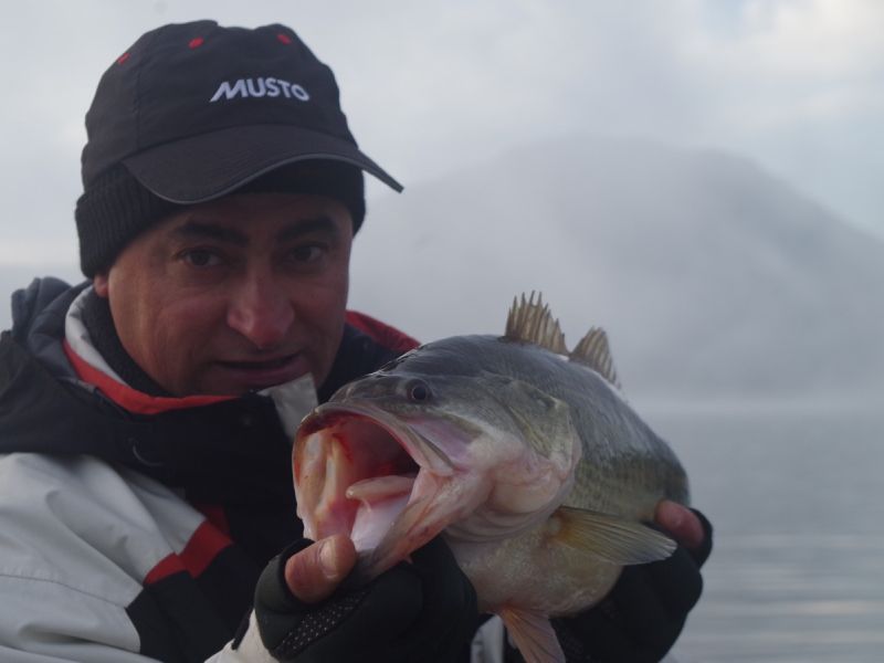 Bass Peche En Bateau Espagne