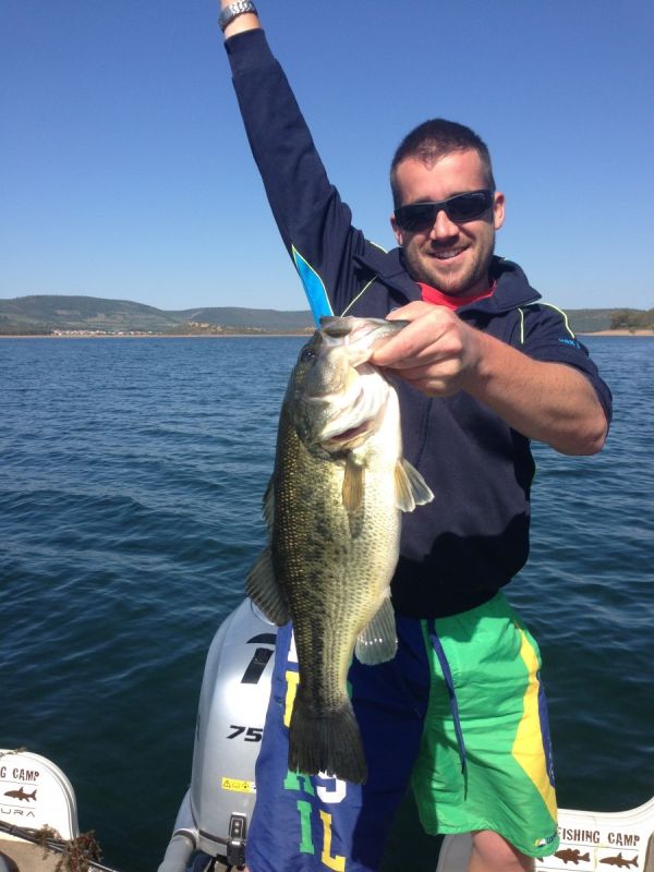 Bass Peche En Bateau Espagne