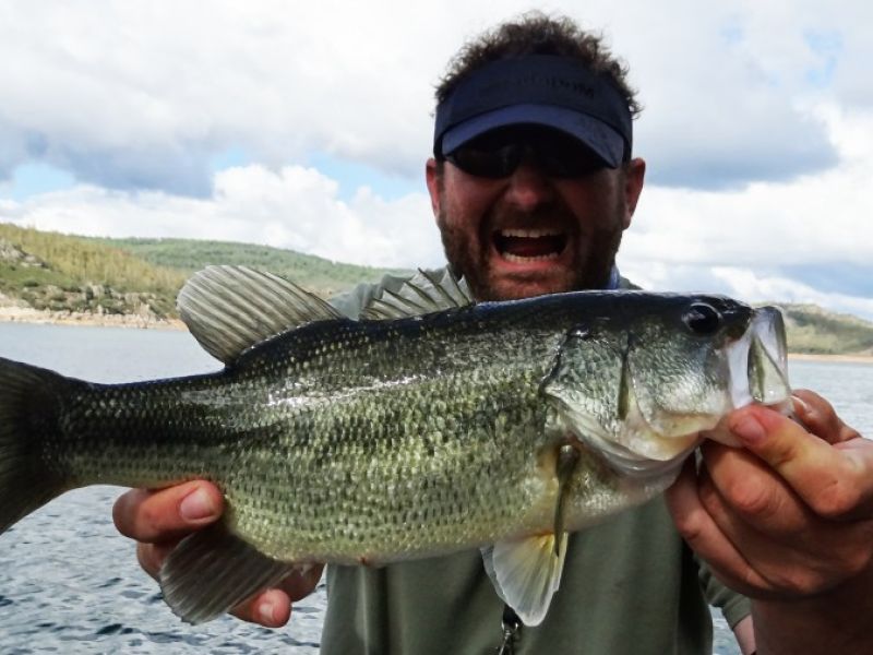 Bass Peche En Bateau Espagne