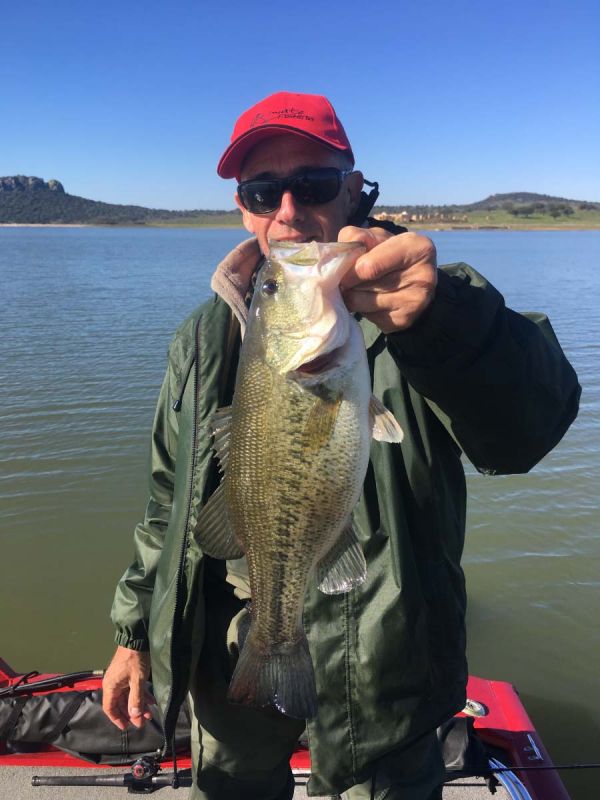 Bass Poisson Sportif
