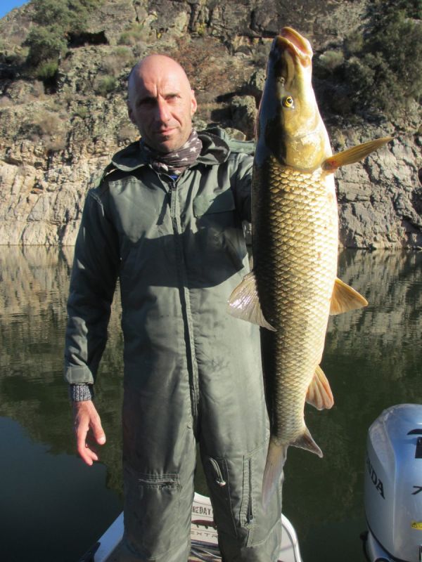 Barbeaux Peche En Extremadura 6