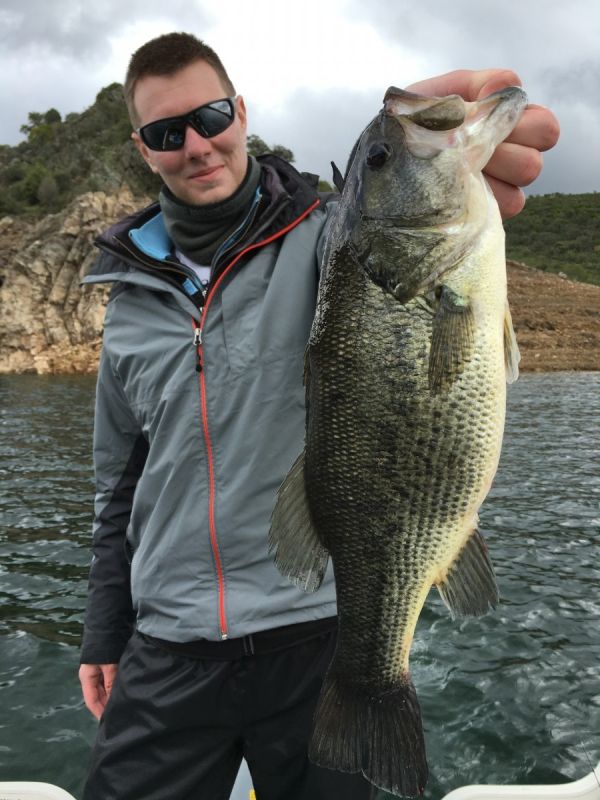 Bass Peche En Bateau Espagne