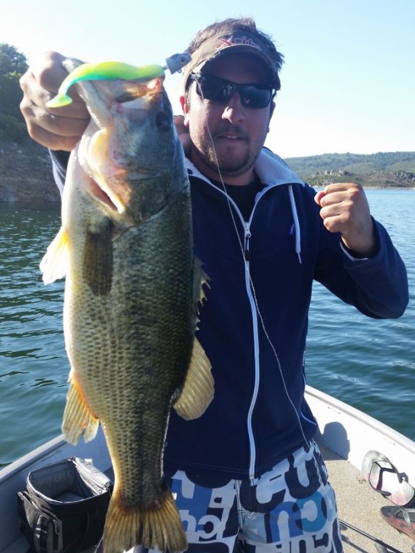 Bass Peche En Bateau Espagne