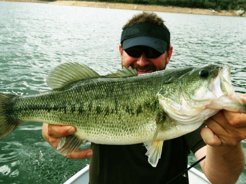 Bass Peche En Bateau Espagne