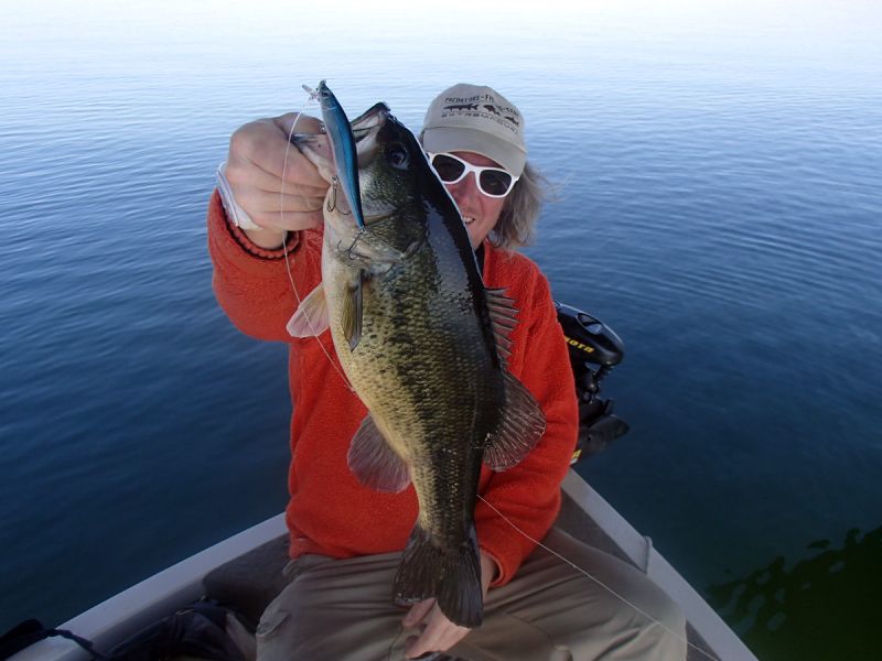 Bass Peche En Bateau Espagne