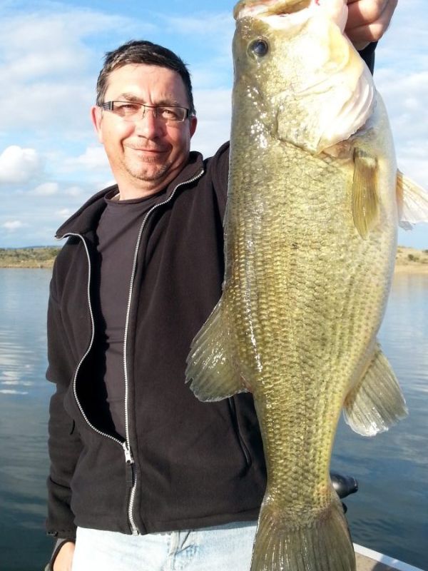 Bass Peche En Bateau Espagne