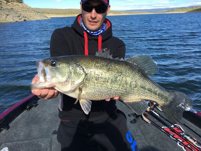 Bass Peche En Bateau Espagne