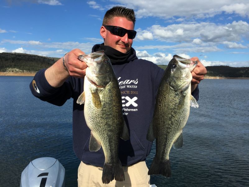 Bass Peche En Bateau Espagne