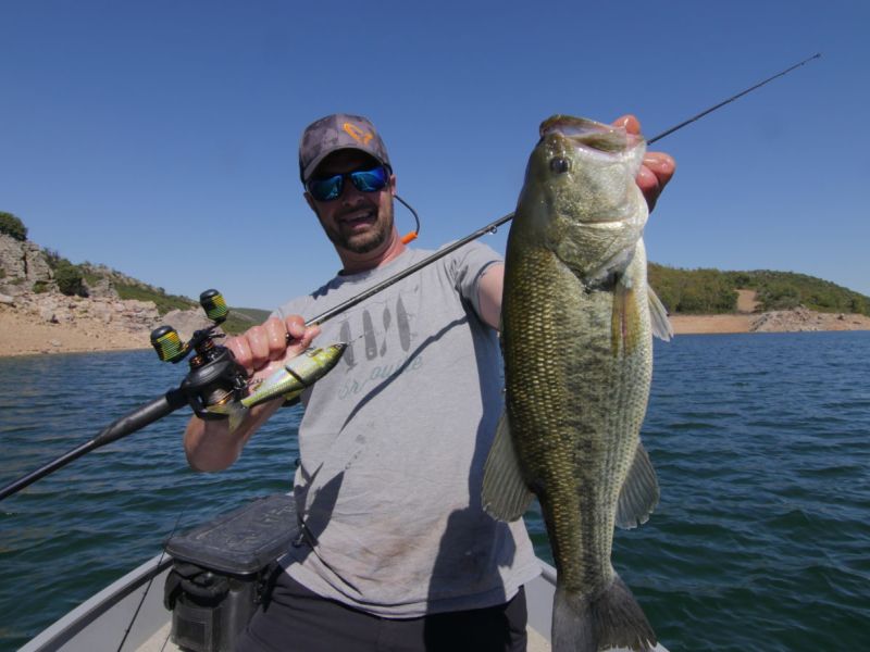 Bass Peche En Bateau Espagne