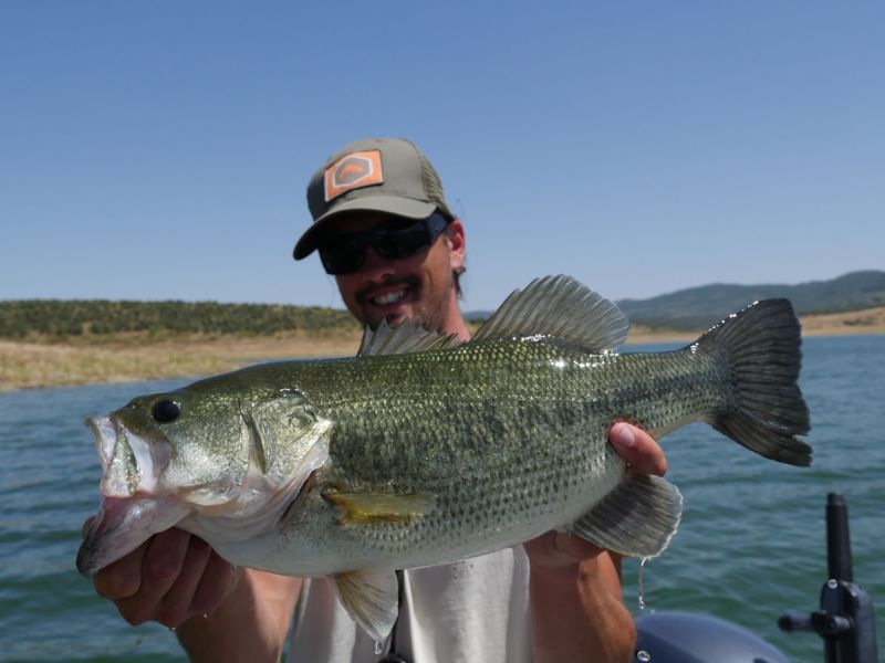 Bass Peche En Bateau Espagne