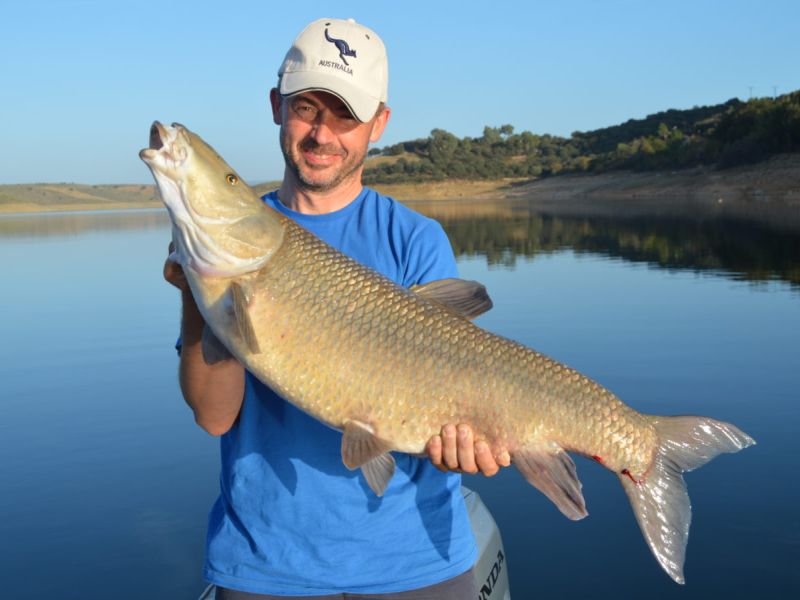Barbeaux Peche En Extremadura 5