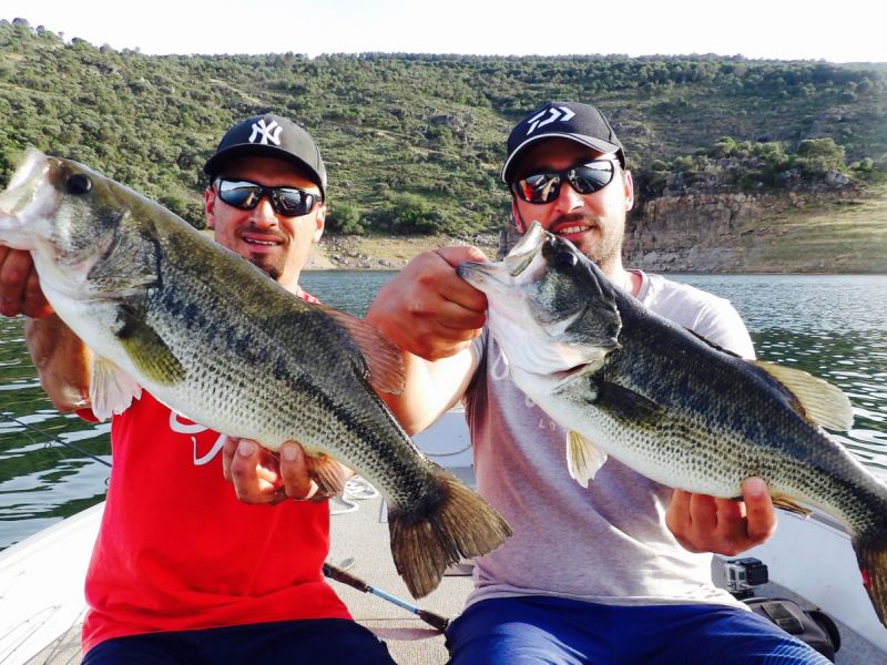 Bass Peche En Bateau Espagne