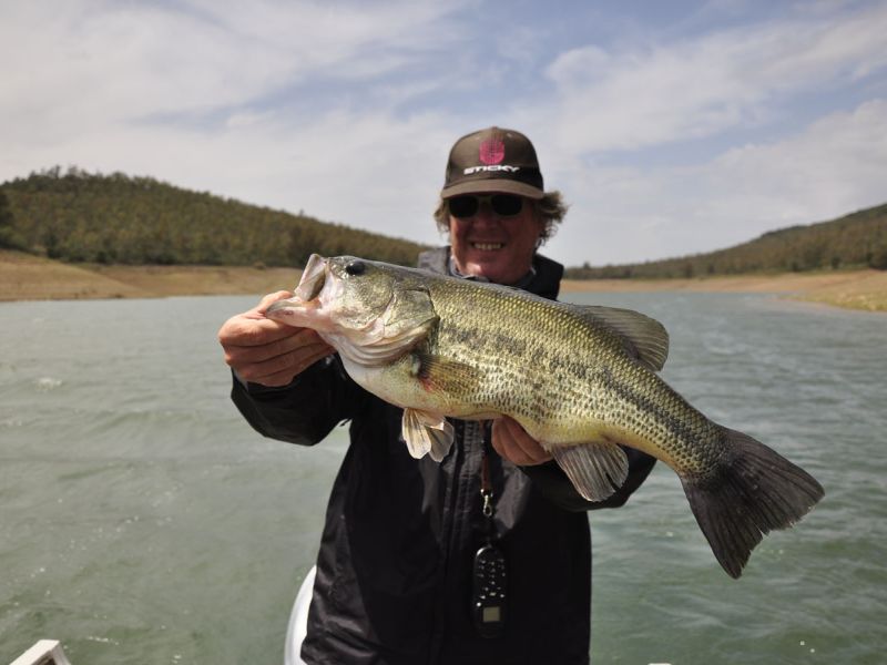 Bass Peche En Bateau Espagne