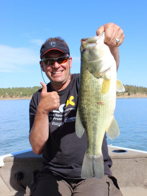 Bass Peche En Bateau Espagne