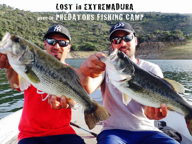 Bass Peche En Bateau Espagne