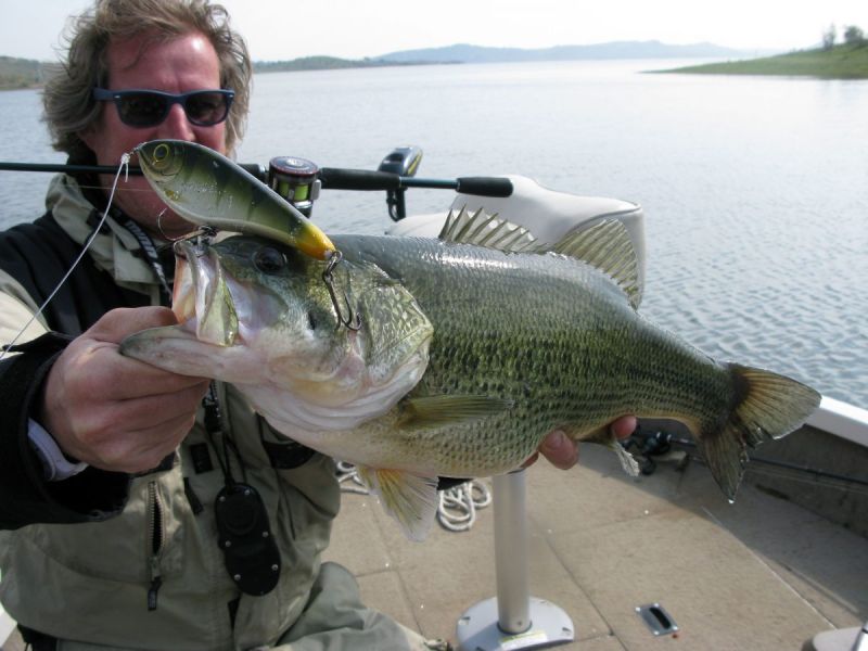 Bass Peche En Bateau Espagne