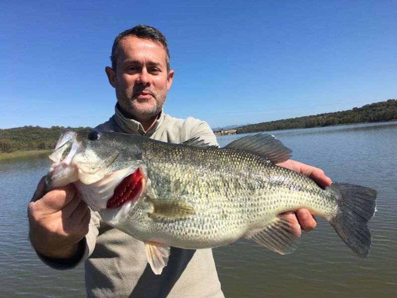 Peche De Bass En Estremadura