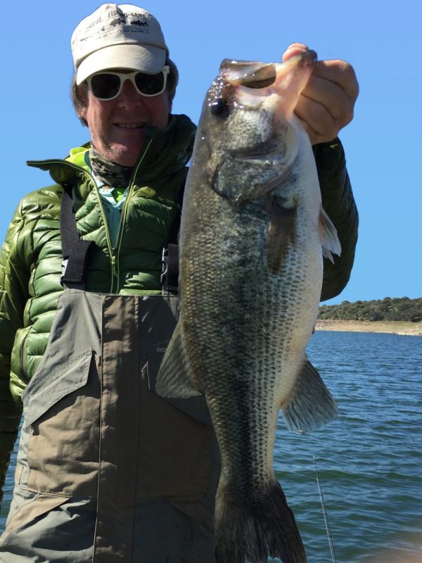 Bass Peche En Bateau Espagne