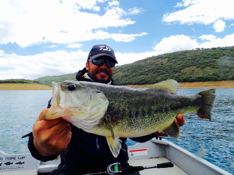Bass Peche En Bateau Espagne