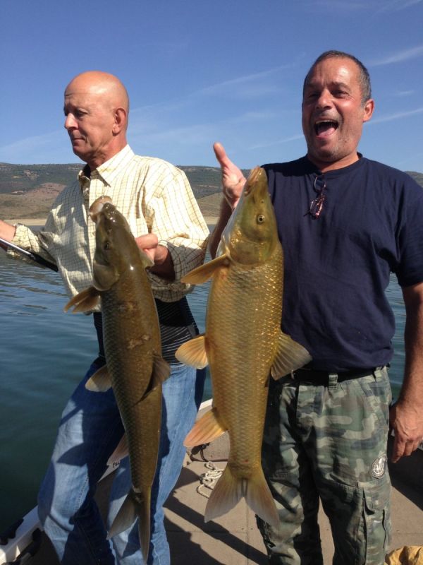 Barbeaux Peche En Extremadura 16