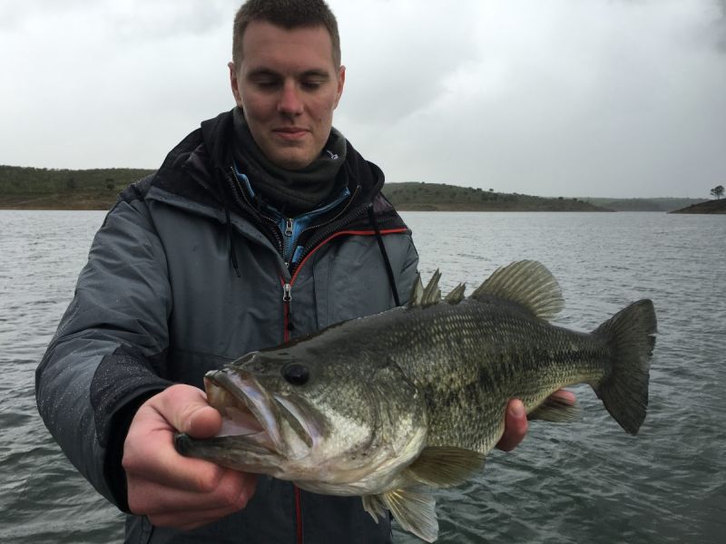 Bass Peche En Bateau Espagne