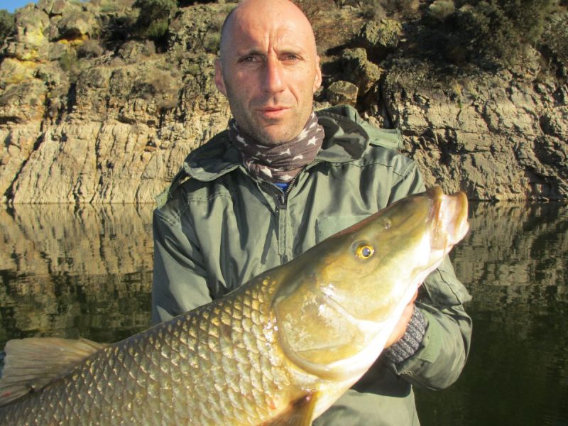 Barbeaux Peche En Extremadura 1