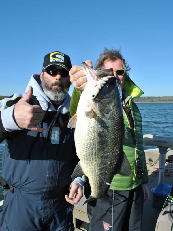 Bass Peche En Bateau Espagne