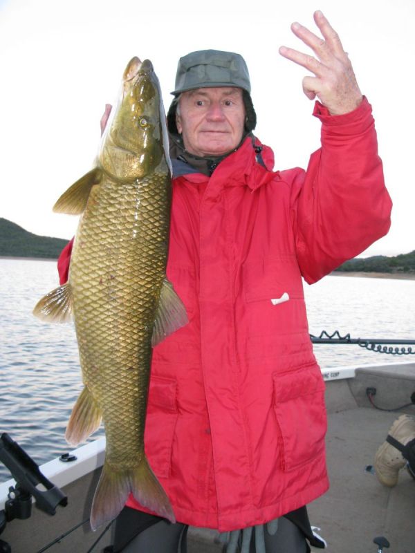 Barbeaux Peche En Extremadura 13
