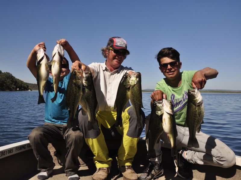 Bass Peche En Bateau Espagne