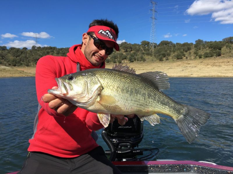 Bass Peche En Bateau Espagne