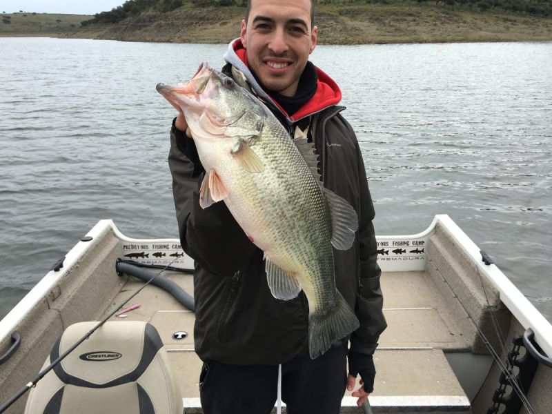 Bass Peche En Bateau Espagne