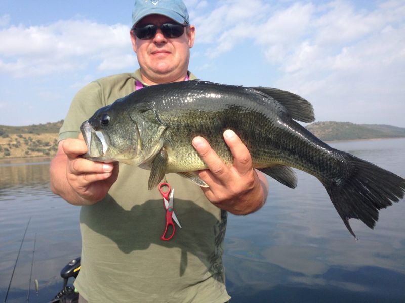 Bass Peche En Bateau Espagne