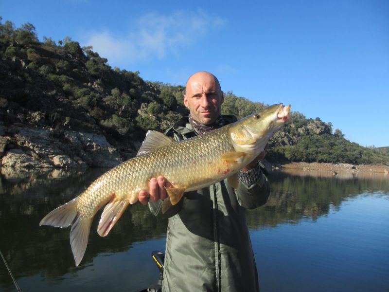 Barbeaux Peche En Extremadura 9