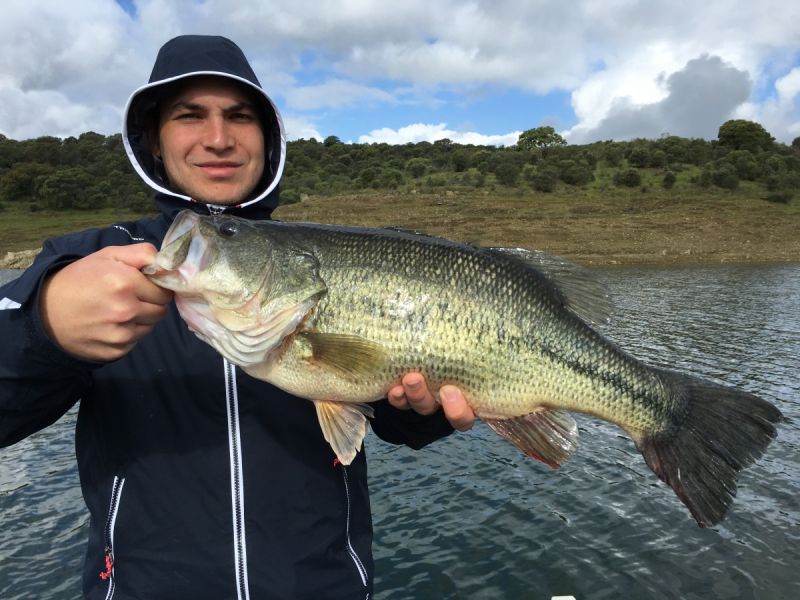 Bass Peche En Bateau Espagne