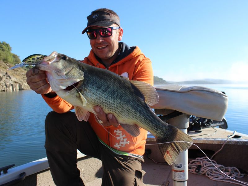 Bass Peche En Bateau Espagne