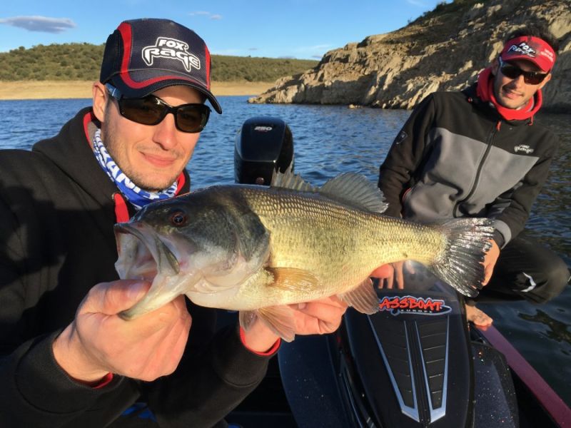 Bass Peche En Bateau Espagne