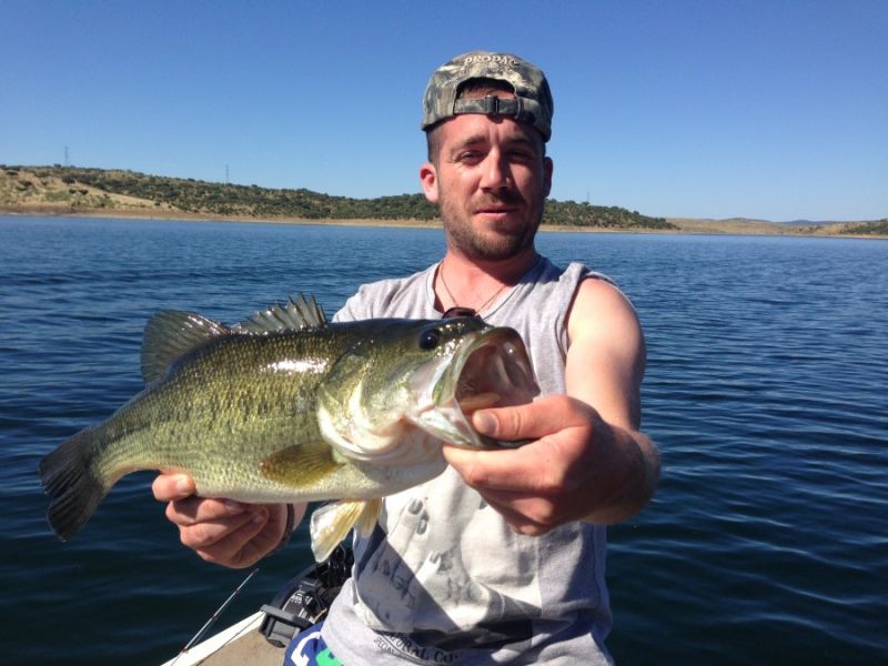 Bass Peche En Bateau Espagne