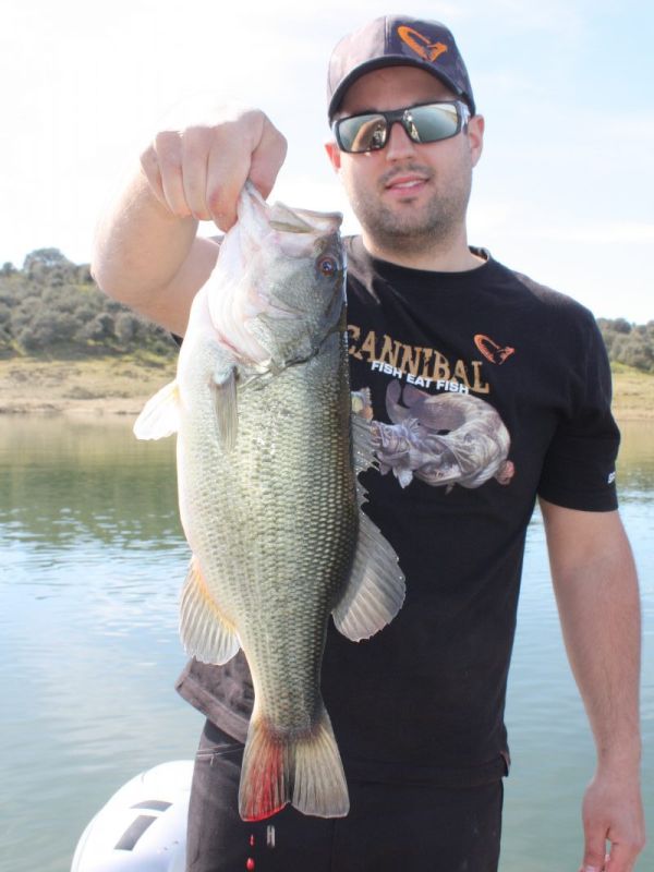 Bass Peche En Bateau Espagne
