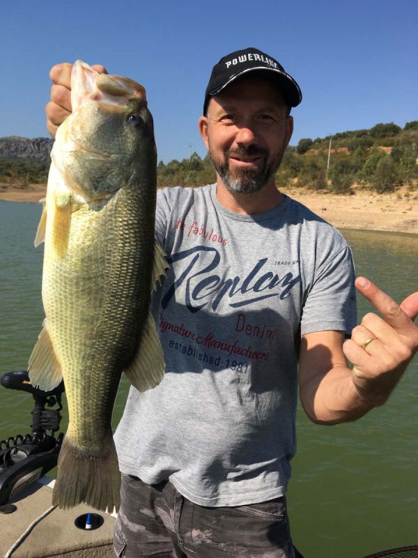 Poisson Bass Fraichement Peche
